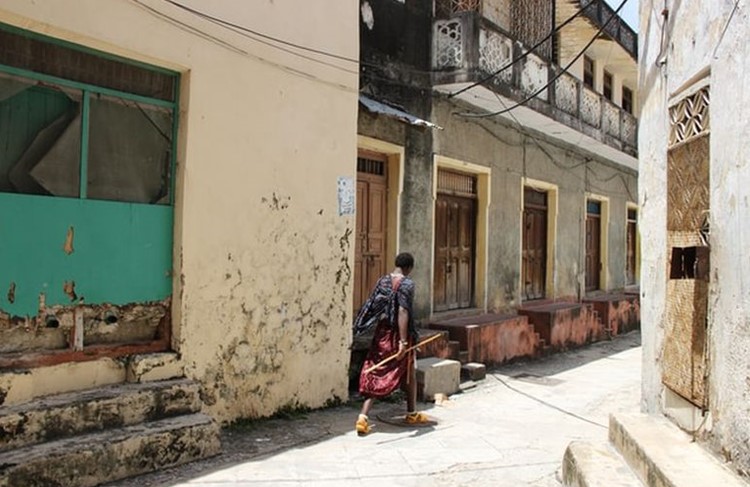 photo of Stone Town’s introduction (Half day)